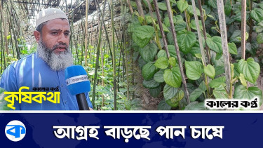 বোতল জাত সয়াবিন তেলের দাম লিটারে বেড়েছে ১৪ টাকা, এ নিয়ে কী ভাবছে বান্দরবানের সাধারণ মানুষ?