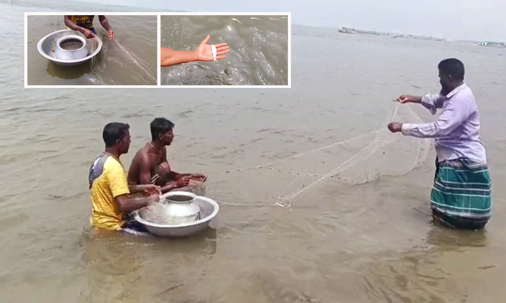 মেঘনায় শীতলক্ষ্যার দূষণ, মাছের মড়কে আতঙ্ক