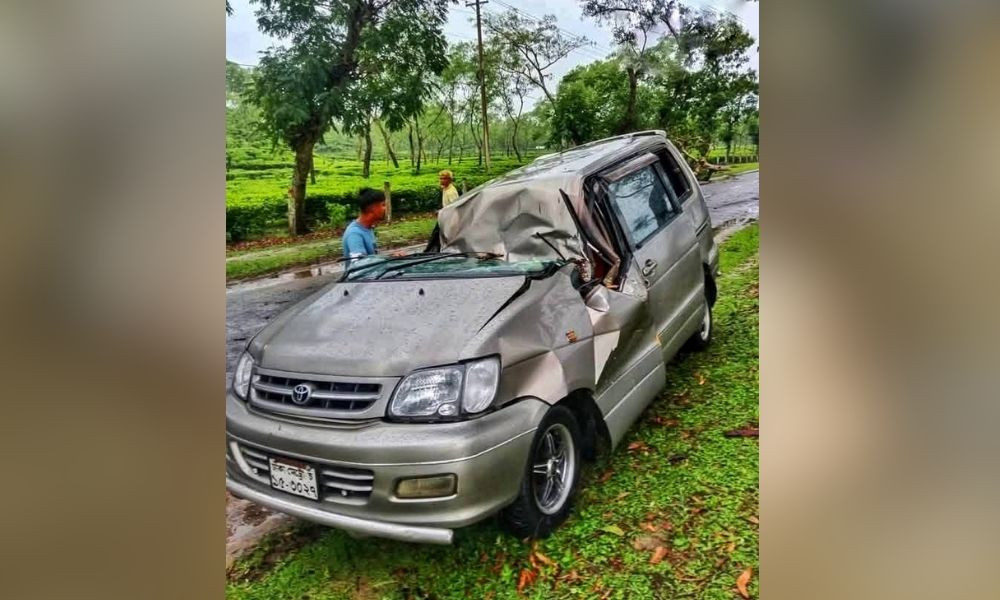 হবিগঞ্জে বজ্রাঘাত : দুই গরুসহ যুবক নিহত, আহত ১