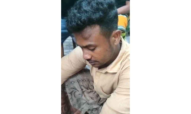 নান্দাইল-ঈশ্বরগঞ্জে ২০ দিনে ৩০ গরু চুরি, সালিসে স্বীকারোক্তি দিলেও ব্যবস্থা নেই