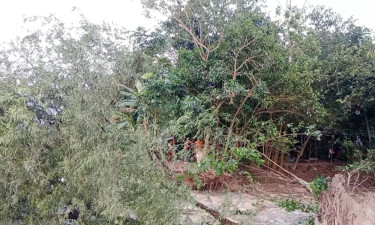 ভাঙনে ঘর হারাচ্ছেন বাবুগঞ্জের বাসিন্দারা
