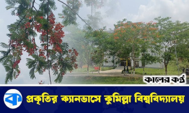 কৃষ্ণচূড়া–জারুলে ছেয়ে গেছে কুবি, সোনা ঝরাচ্ছে সোনালু