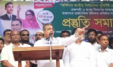 অন্তর্বর্তী সরকার যেন ছুটির উৎসবে মেতে উঠেছে : সাবেক এমপি হারুন