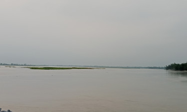 তিস্তার পানি ডুবিয়ে দিল কৃষকের স্বপ্ন