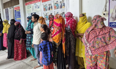 ‘গরুর মতো ফেরত দেওয়া হয় আমাদের’