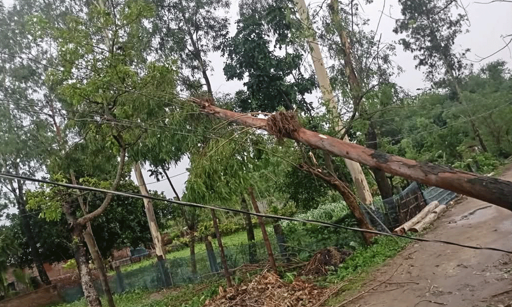 রাণীশংকৈলে কালবৈশাখি ঝড়ে ব্যাপক ক্ষয়ক্ষতি