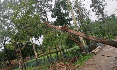 রাণীশংকৈলে কালবৈশাখি ঝড়ে ব্যাপক ক্ষয়ক্ষতি