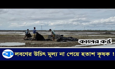 মৌসুম শেষে লোকসানের বোঝা নিয়ে বাড়ি ফিরছে লবণ চাষীরা