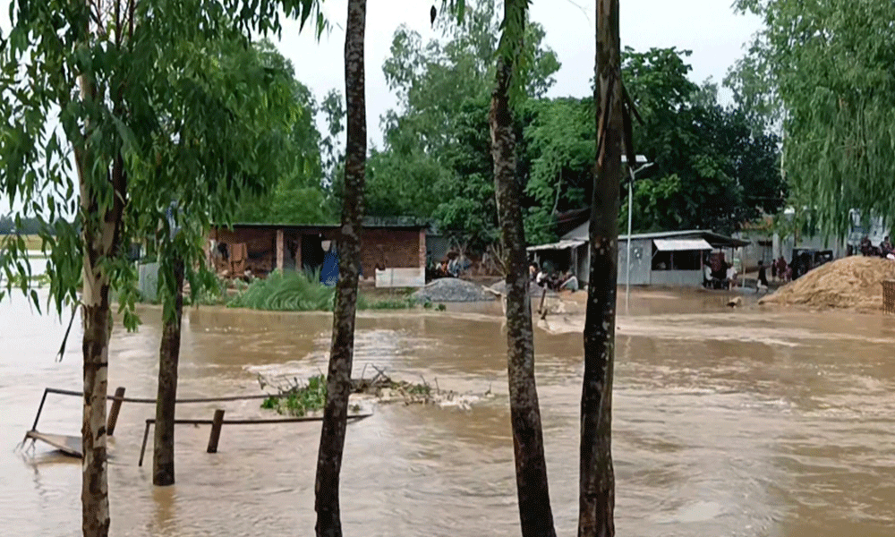 বিপৎসীমার ওপর দিয়ে বইছে চেল্লাখালি নদীর পানি, বন্যার আশঙ্কা