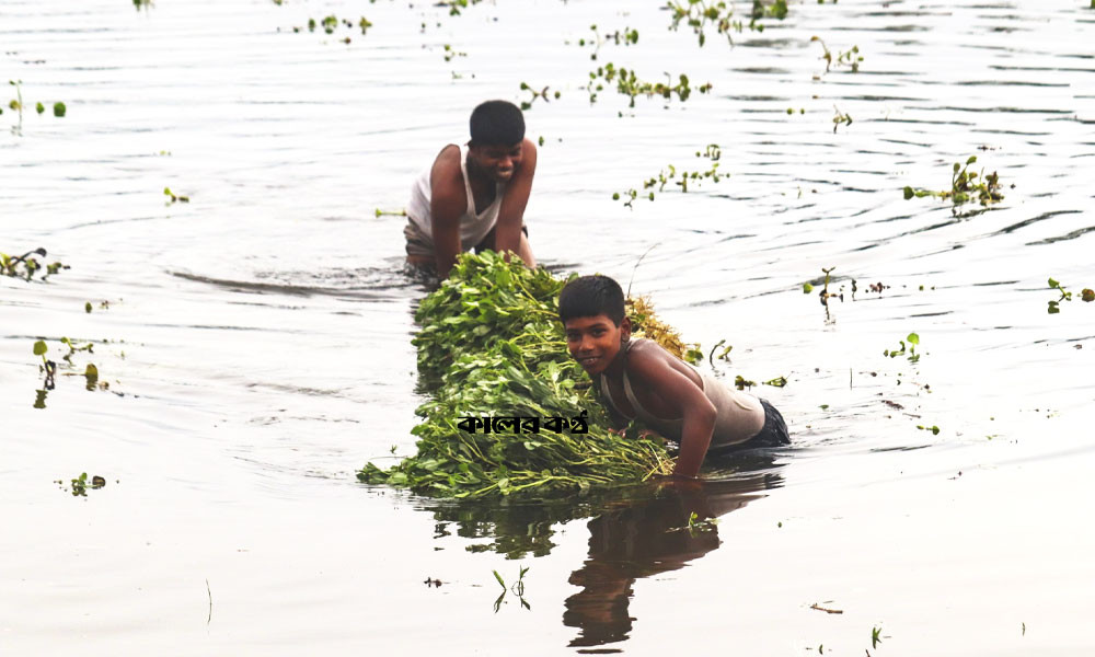 ‘সউগ পানিত তলে গেইছে, এভাবে তো রাখা যায় না’