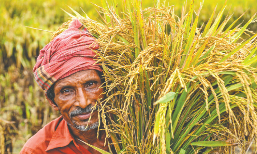 ‘কৃষির জন্য নেওয়া হচ্ছে দীর্ঘমেয়াদি পরিকল্পনা’