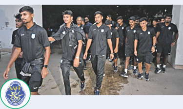 দেশে ফেরা