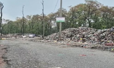 আবর্জনা ফেলছে পৌরসভা, অস্বস্তি বন বিভাগের