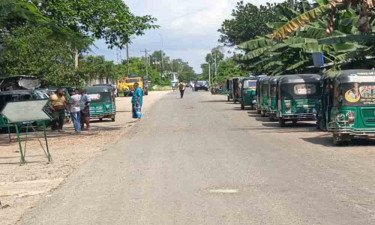 আখাউড়া স্থলবন্দর দিয়ে মাছ রপ্তানি বন্ধ