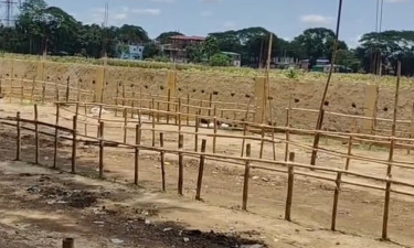 মায়ানমার থেকে গরু আসায় গর্জনিয়া বাজার বন্ধ, চোরাপথ খোলা