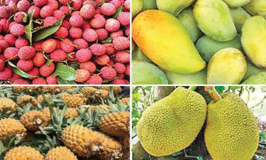 নতুন ফল খাওয়ার সময় রাসুল (সা.) যে দোয়া পড়তেন