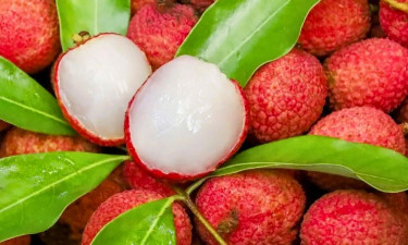 লিচু খাওয়ার সঠিক সময় কখন
