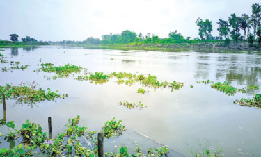 ভারতে বাঁধে ভাঙন, বাড়ছে আত্রাই নদীর পানি