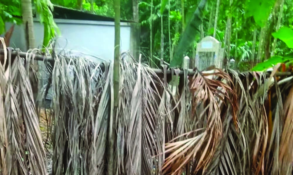 বেতাগীতে আ. লীগ নেতার বিরুদ্ধে সরকারি জমি দখলের অভিযোগ