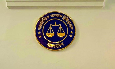 গ্রেপ্তারের ক্ষমতা পেলেন ট্রাইব্যুনালের প্রসিকিউটর-তদন্তকারী কর্মকর্তারা