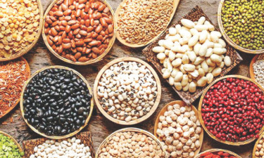 নবম ও দশম শ্রেণি : জীববিজ্ঞান
