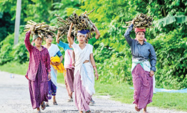জ্বালানির জন্য শুকনা বাঁশ সংগ্রহ করে বাড়ি ফিরছেন কয়েকজন নারী