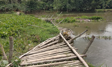 চিত্রায় ভেঙে পড়েছে বাঁশের সাঁকো, দুর্ভোগে ৭ গ্রামের মানুষ