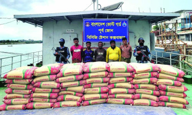 মায়ানমারে পাচারকালে ৩৪০ বস্তা সিমেন্টসহ পাঁচ পাচারকারী আটক