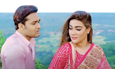 যাও পাখি বলো তারে