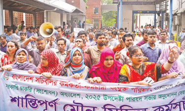 দপ্তর ছেড়ে মিছিলে কর্মকর্তা-কর্মচারীরা