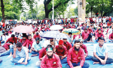 সাত দাবিতে সারা দেশে কর্মবিরতির ঘোষণা পল্লী বিদ্যুৎ সমিতির