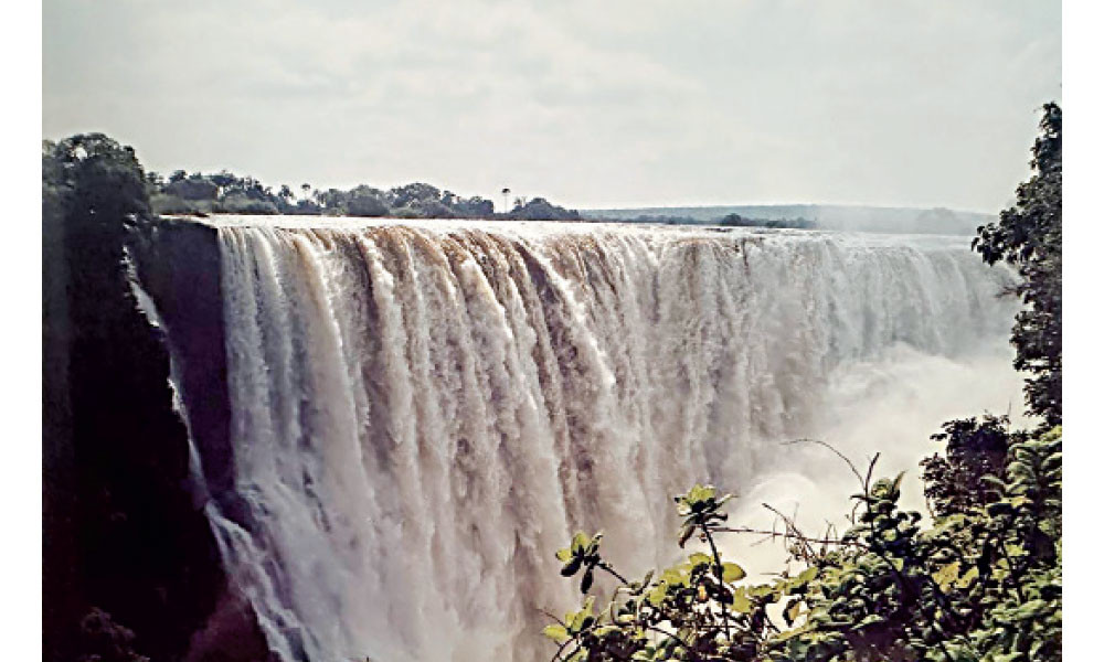 আমি ‘ভিক্টোরিয়া’ দেখেছি