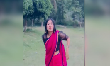 বিসিএসের স্বপ্ন দেখা নাপা আপার এখন কনটেন্ট বানিয়ে আয় লাখ টাকা
