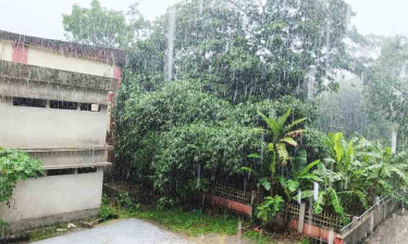 লঘুচাপের প্রভাবে উপকূলে মুষলধারে বৃষ্টি