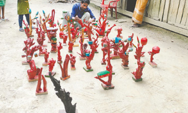জেলে জাকিরের শিকড়শিল্প