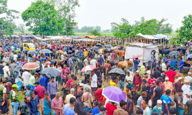 নবীগঞ্জে ম্যাজিস্ট্রেটের ওপর হামলা, ৩৪ জনের বিরুদ্ধে মামলা