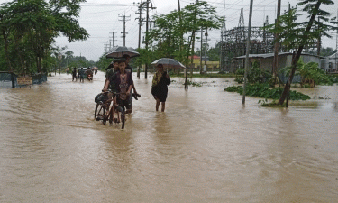 বড়লেখায় ভয়াবহ বন্যা, পাঁচ শতাধিক ঘরবাড়ি ক্ষতিগ্রস্ত
