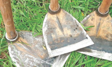 বহুল ব্যবহৃত হাতিয়ার কোদাল