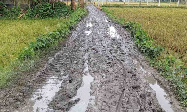 ভূরুঙ্গামারীতে রাস্তার বেহাল অবস্থায় চরম দুর্ভোগে স্থানীয়রা