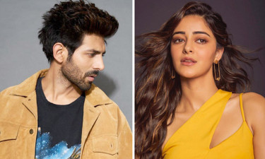 প্রাক্তনের ঠোঁটে চুমু, জোড়া লাগল কার্তিক-অনন্যার ভাঙা সম্পর্ক?