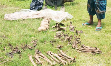 চালের বাজার থেকে মৃত মানুষের মাথার খুলি-কঙ্কাল উদ্ধার, গ্রেপ্তার ১