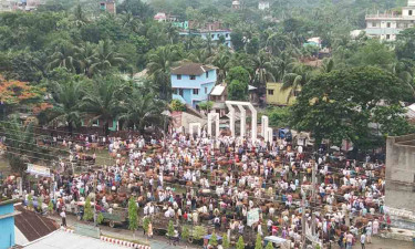 শহীদ মিনা‌রে বসেছে পশুর হাট, বেদিতে পান-সিগারেটের দোকান