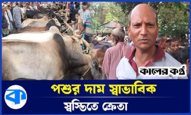 শেষ মুহূর্তে জমে উঠেছে কোরবানির পশুর হাট