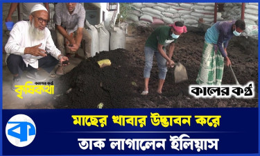 মাছের খাবার উদ্ভাবন করে তাক লাগালেন ইলিয়াস