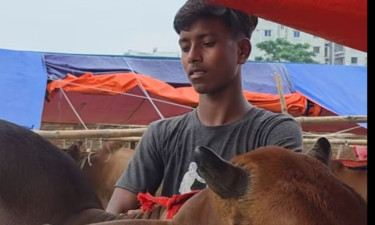 বাবার লাশ দাফন করেই পশুর হাটে আরিফুল, কারণ কী?
