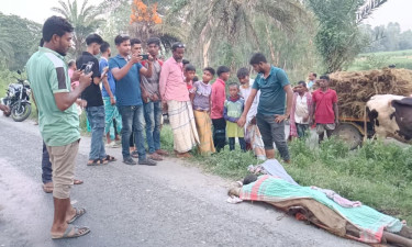 সিরাজগঞ্জে গরুবোঝাই ভটভটি উল্টে চালক নিহত