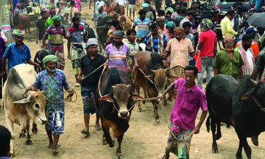 কেরানীগঞ্জে পশুর হাটে হামলা, পুলিশসহ দুজন আহত