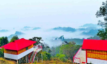 লামায় ভ্রমণ নিষেধাজ্ঞা প্রত্যাহার