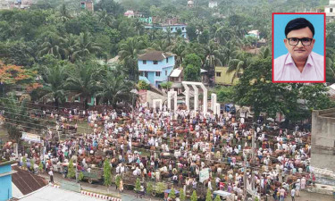 শহীদ মিনারে গরুর হাট নিয়ে যা বললেন প্রশাসক