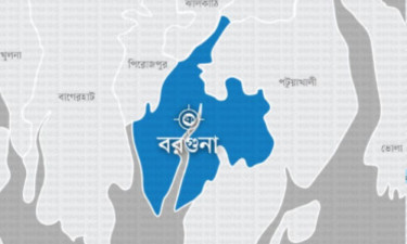 বরগুনায় পশু কোরবানি করতে গিয়ে আহত ২০